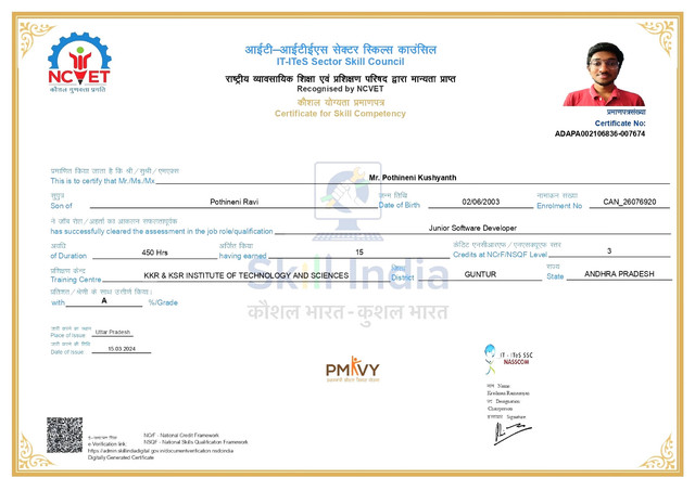 Junior Software Developer